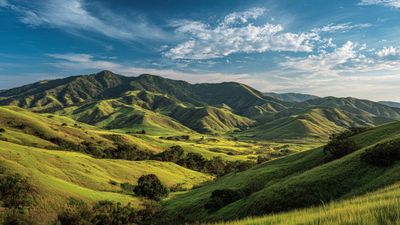 From Hyderabad to the Blue Mountains: A Family Road Trip Nilgiri You’ll Never Forget