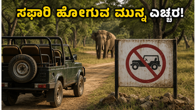 ಬಂಡೀಪುರ, ನಾಗರಹೊಳೆ ಸಫಾರಿ ಪ್ಲಾನ್ ಮಾಡ್ತಿದ್ದೀರಾ? ಈ ಹೊಸ ನಿಯಮ ಮಿಸ್ ಮಾಡ್ಬೇಡಿ!