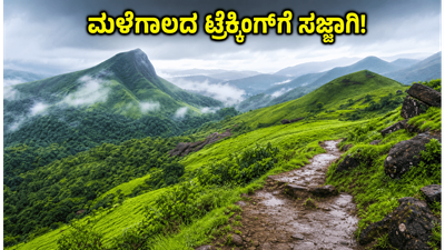 ಮಳೆಗಾಲದ ಟ್ರೆಕ್ಕಿಂಗ್‌ಗೆ ಗ್ರೀನ್ ಸಿಗ್ನಲ್: ಅರಣ್ಯ ವಿಹಾರ ಪೋರ್ಟಲ್‌ನಲ್ಲಿ ಬುಕ್ ಮಾಡುವುದು ಹೇಗೆ?