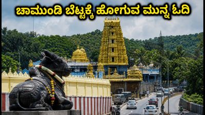 ಆಷಾಢ ಶುಕ್ರವಾರ ಚಾಮುಂಡಿ ಬೆಟ್ಟಕ್ಕೆ ಹೋಗ್ತಿದ್ದೀರಾ? ದರ್ಶನ ಮತ್ತು ಸಂಚಾರದ ಸಂಪೂರ್ಣ ಮಾಹಿತಿ ಇಲ್ಲಿದೆ ಆಷಾಢ ಶುಕ್ರವಾರ ಚಾಮುಂಡಿ ಬೆಟ್ಟಕ್ಕೆ ಹೋಗ್ತಿದ್ದೀರಾ? ದರ್ಶನ ಮತ್ತು ಸಂಚಾರದ ಸಂಪೂರ್ಣ ಮಾಹಿತಿ ಇಲ್ಲಿದೆ