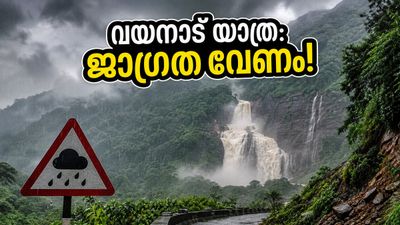 വയനാട്ടിലേക്ക് യാത്ര പ്ലാൻ ചെയ്യുകയാണോ? ഈ മുന്നറിയിപ്പ് അവഗണിച്ചാൽ പണി പാളും, സുരക്ഷിതമായി യാത്ര ചെയ്യാം! വയനാട്ടിലേക്ക് യാത്ര പ്ലാൻ ചെയ്യുകയാണോ? ഈ മുന്നറിയിപ്പ് അവഗണിച്ചാൽ പണി പാളും, സുരക്ഷിതമായി യാത്ര ചെയ്യാം!