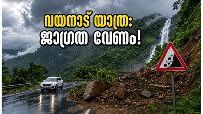വയനാട്ടിൽ യെല്ലോ അലർട്ട്; യാത്ര പ്ലാൻ ചെയ്യുന്നവർ ഈ കാര്യങ്ങൾ അറിഞ്ഞിരിക്കണം, അല്ലെങ്കിൽ പണി പാളും!