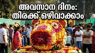 ലാൽബാഗ് പുഷ്പമേളയുടെ അവസാന ദിനം: തിരക്കിൽ പെടാതെ വേഗത്തിൽ കാണാൻ സന്ദർശകർ അറിയേണ്ട കാര്യങ്ങൾ ലാൽബാഗ് പുഷ്പമേളയുടെ അവസാന ദിനം: തിരക്കിൽ പെടാതെ വേഗത്തിൽ കാണാൻ സന്ദർശകർ അറിയേണ്ട കാര്യങ്ങൾ