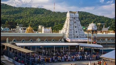 திருமலை தரிசனத்திற்குச் செல்கிறீர்களா? இன்றைய காத்திருப்பு நேரம் மற்றும் முக்கிய அப்டேட்கள் இதோ!