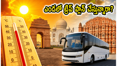 ఢిల్లీ, ఆగ్రా, జైపూర్ ట్రిప్కు వెళ్తున్నారా? ఎండలో ఇబ్బంది పడకుండా ఈ సీక్రెట్ టైమింగ్స్ పాటిస్తే చాలు! ఢిల్లీ, ఆగ్రా, జైపూర్ ట్రిప్కు వెళ్తున్నారా? ఎండలో ఇబ్బంది పడకుండా ఈ సీక్రెట్ టైమింగ్స్ పాటిస్తే చాలు!
