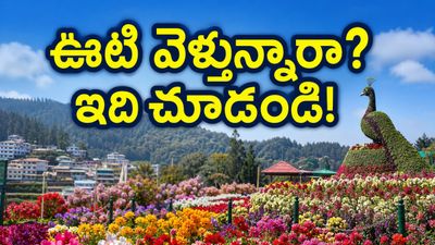 ఊటీ ఫ్లవర్ షో మొదలైంది.. ట్రాఫిక్ ఇబ్బందులు లేకుండా పర్యాటకులు ఈ రూట్లలో వెళ్తేనే బెస్ట్!