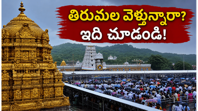 తిరుమలలో భక్తుల రద్దీ మామూలుగా లేదు.. దర్శనం కోసం వెళ్లే ముందు ఈ విషయాలు తెలుసుకోండి! తిరుమలలో భక్తుల రద్దీ మామూలుగా లేదు.. దర్శనం కోసం వెళ్లే ముందు ఈ విషయాలు తెలుసుకోండి!