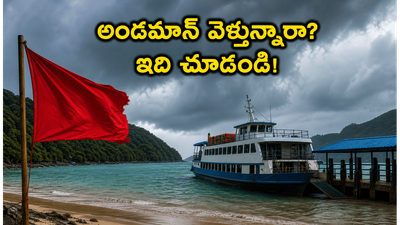 అండమాన్ వెళ్తున్నారా? భారీ వర్షాలతో ఫెర్రీలు రద్దు.. పర్యాటకులు ఈ జాగ్రత్తలు తప్పనిసరిగా పాటించండి! అండమాన్ వెళ్తున్నారా? భారీ వర్షాలతో ఫెర్రీలు రద్దు.. పర్యాటకులు ఈ జాగ్రత్తలు తప్పనిసరిగా పాటించండి!