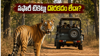 బండిపూర్, నాగర్‌హోల్ సఫారీకి వెళ్తున్నారా? టికెట్లు దొరకడం లేదా? ఈ చిట్కాలు పాటిస్తే మీ సీట్ గ్యారెంటీ!