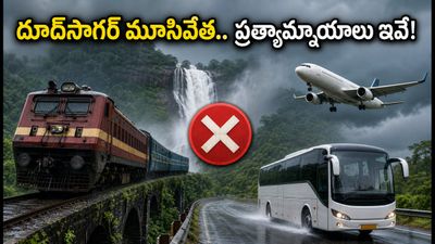 బెంగళూరు నుంచి గోవా వెళ్తున్నారా? దూద్సాగర్ మూసివేత.. వర్షాకాలంలో ప్రయాణానికి బెస్ట్ టిప్స్ ఇవే! బెంగళూరు నుంచి గోవా వెళ్తున్నారా? దూద్సాగర్ మూసివేత.. వర్షాకాలంలో ప్రయాణానికి బెస్ట్ టిప్స్ ఇవే!