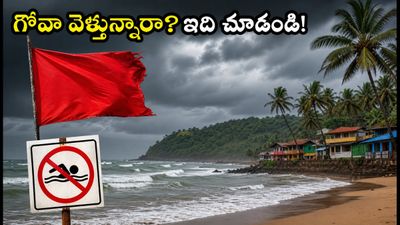 గోవాలో భారీ వర్షాలు.. బీచ్‌లకు బదులు ఈ సురక్షిత ప్రాంతాలను సందర్శించండి!