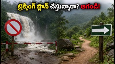 కర్ణాటకలో భారీ వర్షాలు: ట్రెక్కింగ్, జలపాతాల సందర్శనపై ఆంక్షలు.. పర్యాటకులు ఇప్పుడు ఎక్కడికి వెళ్లాలి? కర్ణాటకలో భారీ వర్షాలు: ట్రెక్కింగ్, జలపాతాల సందర్శనపై ఆంక్షలు.. పర్యాటకులు ఇప్పుడు ఎక్కడికి వెళ్లాలి?