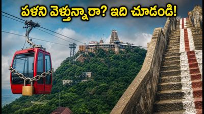 పళని వెళ్తున్నారా? రోప్ కార్ సేవలు బంద్.. ఆడి వెల్లి రద్దీలో ఇబ్బంది పడకుండా ఇలా ప్లాన్ చేసుకోండి! పళని వెళ్తున్నారా? రోప్ కార్ సేవలు బంద్.. ఆడి వెల్లి రద్దీలో ఇబ్బంది పడకుండా ఇలా ప్లాన్ చేసుకోండి!
