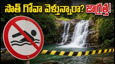 సౌత్ గోవా ట్రిప్ ప్లాన్ చేస్తున్నారా? జలపాతాల్లో ఈత కొడితే భారీ జరిమానా.. 60 రోజుల పాటు కఠిన ఆంక్షలు! సౌత్ గోవా ట్రిప్ ప్లాన్ చేస్తున్నారా? జలపాతాల్లో ఈత కొడితే భారీ జరిమానా.. 60 రోజుల పాటు కఠిన ఆంక్షలు!