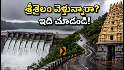 శ్రీశైలం వెళ్తున్నారా? వర్షాలు, ఫారెస్ట్ గేట్ టైమింగ్స్, దర్శనం వేళలు.. ప్రయాణానికి ముందు ఈ అప్డేట్స్ తప్పక చూడండి! శ్రీశైలం వెళ్తున్నారా? వర్షాలు, ఫారెస్ట్ గేట్ టైమింగ్స్, దర్శనం వేళలు.. ప్రయాణానికి ముందు ఈ అప్డేట్స్ తప్పక చూడండి!