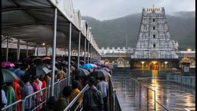 తిరుమల భక్తులకు అలర్ట్.. నేడు దర్శనానికి 12 గంటల సమయం, ప్రయాణంలో జాగ్రత్తలు! తిరుమల భక్తులకు అలర్ట్.. నేడు దర్శనానికి 12 గంటల సమయం, ప్రయాణంలో జాగ్రత్తలు!