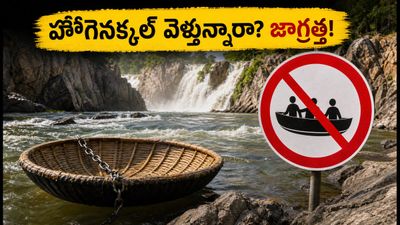 బెంగళూరు నుంచి వాటర్ఫాల్స్ ట్రిప్ ప్లాన్ చేస్తున్నారా? హోగెనక్కల్ వెళ్లే ముందు ఈ విషయాలు తప్పక తెలుసుకోండి! బెంగళూరు నుంచి వాటర్ఫాల్స్ ట్రిప్ ప్లాన్ చేస్తున్నారా? హోగెనక్కల్ వెళ్లే ముందు ఈ విషయాలు తప్పక తెలుసుకోండి!