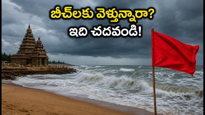 ఆంధ్రప్రదేశ్, తమిళనాడు తీరాల్లో రాకాసి అలల హెచ్చరిక.. బీచ్లకు వెళ్లేవారు ఈ జాగ్రత్తలు తప్పనిసరి! ఆంధ్రప్రదేశ్, తమిళనాడు తీరాల్లో రాకాసి అలల హెచ్చరిక.. బీచ్లకు వెళ్లేవారు ఈ జాగ్రత్తలు తప్పనిసరి!