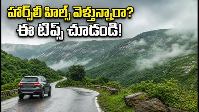 వర్షాకాలంలో హార్స్లీ హిల్స్ ట్రిప్ ప్లాన్ చేస్తున్నారా? హైదరాబాద్ నుంచి వెళ్లేవారికి ఈ సేఫ్టీ టిప్స్ తప్పనిసరి! వర్షాకాలంలో హార్స్లీ హిల్స్ ట్రిప్ ప్లాన్ చేస్తున్నారా? హైదరాబాద్ నుంచి వెళ్లేవారికి ఈ సేఫ్టీ టిప్స్ తప్పనిసరి!