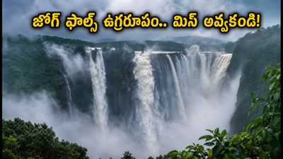 జోగ్ ఫాల్స్ ఉగ్రరూపం: ఆగస్టులో చూడాల్సిన అద్భుతం.. బెంగళూరు నుంచి వెళ్లే వారికి పూర్తి గైడ్! జోగ్ ఫాల్స్ ఉగ్రరూపం: ఆగస్టులో చూడాల్సిన అద్భుతం.. బెంగళూరు నుంచి వెళ్లే వారికి పూర్తి గైడ్!