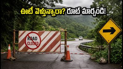 ఊటీ ట్రిప్ ప్లాన్ చేస్తున్నారా? గూడలూరు బంద్తో రూట్ మార్చండి, లేదంటే చిక్కుల్లో పడతారు! ఊటీ ట్రిప్ ప్లాన్ చేస్తున్నారా? గూడలూరు బంద్తో రూట్ మార్చండి, లేదంటే చిక్కుల్లో పడతారు!