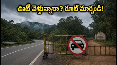 ఊటీ ట్రిప్ ప్లాన్ చేస్తున్నారా? కల్హట్టి ఘాట్ రోడ్డు క్లోజ్.. ఈ రూట్లలో వెళ్తేనే సేఫ్! ఊటీ ట్రిప్ ప్లాన్ చేస్తున్నారా? కల్హట్టి ఘాట్ రోడ్డు క్లోజ్.. ఈ రూట్లలో వెళ్తేనే సేఫ్!