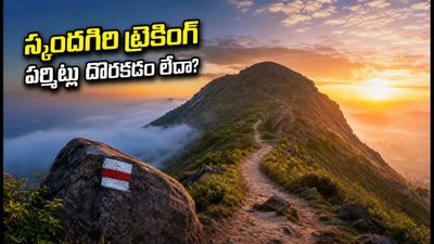 స్కందగిరి సన్రైజ్ ట్రెకింగ్ ప్లాన్ చేస్తున్నారా? పర్మిట్లు దొరకడం లేదా? ఈ టిప్స్ మీకోసమే! స్కందగిరి సన్రైజ్ ట్రెకింగ్ ప్లాన్ చేస్తున్నారా? పర్మిట్లు దొరకడం లేదా? ఈ టిప్స్ మీకోసమే!