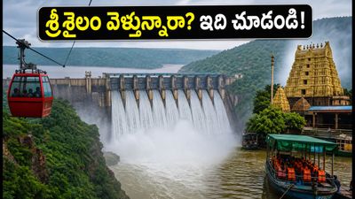 శ్రీశైలం వెళ్తున్నారా? వర్షాకాలం అప్డేట్స్, దర్శనం టైమింగ్స్, ఘాట్ రోడ్ రూల్స్ - మీ యాత్ర సురక్షితం కోసం! శ్రీశైలం వెళ్తున్నారా? వర్షాకాలం అప్డేట్స్, దర్శనం టైమింగ్స్, ఘాట్ రోడ్ రూల్స్ - మీ యాత్ర సురక్షితం కోసం!