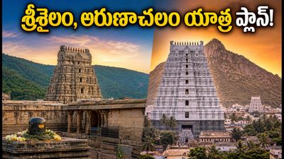 ఆగస్టు 17 శ్రావణ సోమవారం: శ్రీశైలం, అరుణాచలం వెళ్తున్నారా? రద్దీ, దర్శనం, ప్రయాణ టిప్స్ ఇవే! ఆగస్టు 17 శ్రావణ సోమవారం: శ్రీశైలం, అరుణాచలం వెళ్తున్నారా? రద్దీ, దర్శనం, ప్రయాణ టిప్స్ ఇవే!