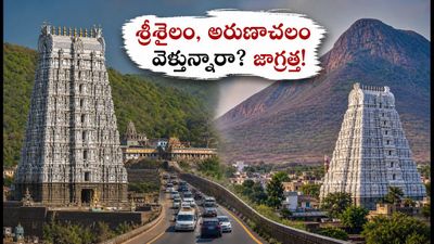 వరలక్ష్మీ వ్రతం వీకెండ్: శ్రీశైలం, అరుణాచలం వెళ్తున్నారా? దర్శనం, ట్రావెల్ ప్లాన్ కోసం ఈ టిప్స్ తప్పనిసరి! వరలక్ష్మీ వ్రతం వీకెండ్: శ్రీశైలం, అరుణాచలం వెళ్తున్నారా? దర్శనం, ట్రావెల్ ప్లాన్ కోసం ఈ టిప్స్ తప్పనిసరి!
