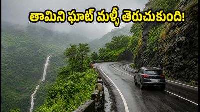 తామిని ఘాట్ మళ్లీ తెరుచుకుంది! వీకెండ్ ట్రిప్ ప్లాన్ చేస్తున్నారా? ఈ జాగ్రత్తలు తప్పనిసరి! తామిని ఘాట్ మళ్లీ తెరుచుకుంది! వీకెండ్ ట్రిప్ ప్లాన్ చేస్తున్నారా? ఈ జాగ్రత్తలు తప్పనిసరి!