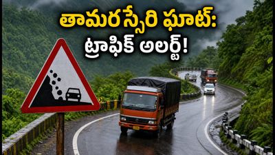 తామరస్సేరి ఘాట్ రోడ్డులో ట్రాఫిక్ ఆంక్షలు: వయనాడ్ వెళ్లేవారు ఈ రూట్ మ్యాప్, టైమింగ్స్ తప్పక చూడండి! తామరస్సేరి ఘాట్ రోడ్డులో ట్రాఫిక్ ఆంక్షలు: వయనాడ్ వెళ్లేవారు ఈ రూట్ మ్యాప్, టైమింగ్స్ తప్పక చూడండి!