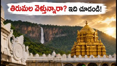 తిరుమలలో భారీగా పెరిగిన భక్తుల రద్దీ.. దర్శనం కోసం వెళ్లే ముందు ఈ విషయాలు తప్పక తెలుసుకోండి! తిరుమలలో భారీగా పెరిగిన భక్తుల రద్దీ.. దర్శనం కోసం వెళ్లే ముందు ఈ విషయాలు తప్పక తెలుసుకోండి!