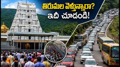 వరలక్ష్మీ వ్రతం వేళ తిరుమలలో భక్తుల రద్దీ.. దర్శనం, నడకదారి, బస్సుల గురించి లేటెస్ట్ అప్డేట్స్ ఇవే! వరలక్ష్మీ వ్రతం వేళ తిరుమలలో భక్తుల రద్దీ.. దర్శనం, నడకదారి, బస్సుల గురించి లేటెస్ట్ అప్డేట్స్ ఇవే!