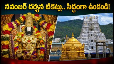 తిరుమల నవంబర్ దర్శన టికెట్ల విడుదల.. బుకింగ్ సమయాలు, కీలక సూచనలు ఇవే! తిరుమల నవంబర్ దర్శన టికెట్ల విడుదల.. బుకింగ్ సమయాలు, కీలక సూచనలు ఇవే!