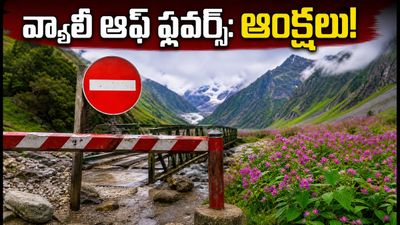 వ్యాలీ ఆఫ్ ఫ్లవర్స్ ట్రిప్ ప్లాన్ చేస్తున్నారా? భారీ వర్షాలతో ఆంక్షలు.. పర్యాటకులు ఏం చేయాలి? వ్యాలీ ఆఫ్ ఫ్లవర్స్ ట్రిప్ ప్లాన్ చేస్తున్నారా? భారీ వర్షాలతో ఆంక్షలు.. పర్యాటకులు ఏం చేయాలి?