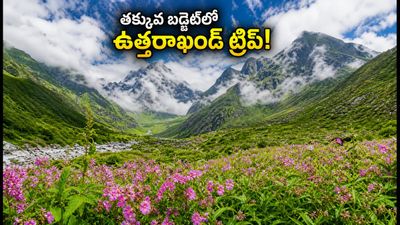 వ్యాలీ ఆఫ్ ఫ్లవర్స్ అందాలను చూడాలా? తక్కువ బడ్జెట్‌లో ఉత్తరాఖండ్ ట్రిప్ ప్లాన్ ఇలా చేయండి!