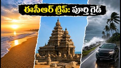 చెన్నై-పాండిచ్చేరి-మహాబలిపురం ట్రిప్ ప్లాన్ చేస్తున్నారా? ఈసీఆర్ రోడ్ ట్రిప్ కోసం పూర్తి గైడ్ ఇదే! చెన్నై-పాండిచ్చేరి-మహాబలిపురం ట్రిప్ ప్లాన్ చేస్తున్నారా? ఈసీఆర్ రోడ్ ట్రిప్ కోసం పూర్తి గైడ్ ఇదే!