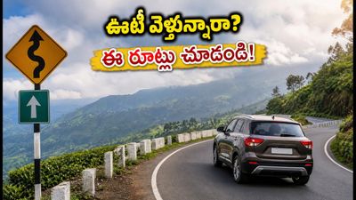 ఊటీ వెళ్తున్నారా? కల్హట్టి ఘాట్ రోడ్డుపై ఆంక్షలు.. ఈ రూట్లలో వెళ్తేనే సేఫ్! ఊటీ వెళ్తున్నారా? కల్హట్టి ఘాట్ రోడ్డుపై ఆంక్షలు.. ఈ రూట్లలో వెళ్తేనే సేఫ్!