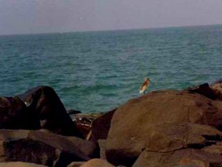 Exploring Byndoor Places Visit Byndoor