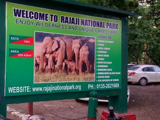 Rajaji National Park Wildlife In Rishikesh