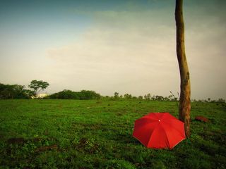 Check Out The Hill Stations Of Maharashtra 000394 Pg