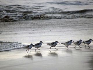 Kerala God S Own Beach Country