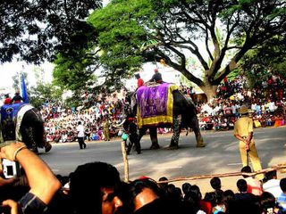Mysore Dasara 2014 A Grand Spectacle 000428 Pg