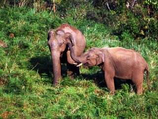 Travel To These Lesser Known Tourist Places In India 000429 Pg