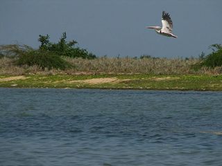 Weekend Places Near Chennai Hindi