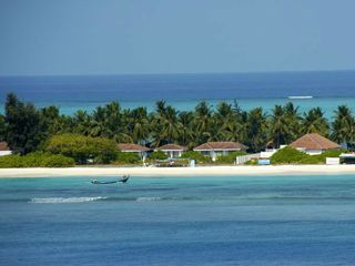 Best Places India Bachelor Party Hindi