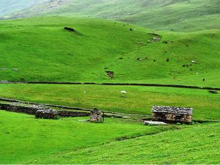 Bugyals In Uttarakhand Hindi