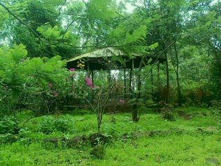 Toranmal Hill Station In Maharashtra Hindi