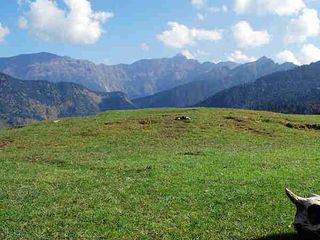 Chopta Chandrashila Deoria Tal Trek Travel Guide